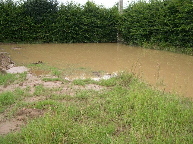 Arrière inondé du lot 180 et bassin d'orage