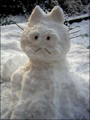 snow cat